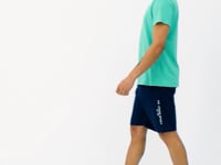 Boris Mint Standard Fit Men's T-Shirt - 88206