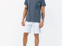 Dark Grey Standard Fit Men's T-Shirt - 88208