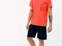 Alan Fiesta Standard Fit Men's T-Shirt - 88208