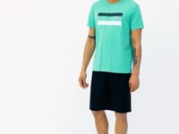 Donald Mint Green Standard Fit Men's T-Shirt - 88217