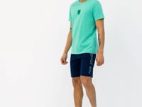 Bert Green Standard Fit Men's T-Shirt - 88210