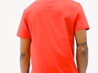 Harley Fiesta Standard Fit Men's T-Shirt - 88203