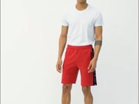 Alfred Red Standard Fit Men's Shorts - 81244