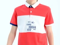 Color Transition Embroidered Detailed Standard Pattern Polo Collar Boys T-Shirt - 11110