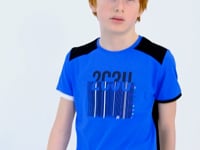 Printed Detailed O Collar Standard Fit Boys' T-Shirt - 11157
