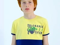 Yellow Print Detailed Color Block Standard Fit O Collar Boys T-Shirt - 11107