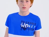 Printed Sleeve Detailed Color Block Standard Fit O Collar Boys T-Shirt - 11107