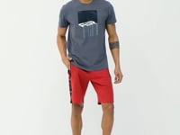 Louis Grey Standard Fit Men's T-Shirt - 88202