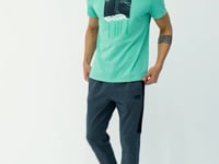 Louis Green Standard Fit Men's T-Shirt - 88202