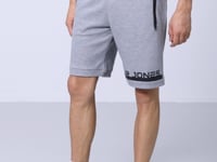 Albie Grey Melange Standard Fit Men's Shorts - 81241