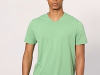 Pastel Green Basic Short Sleeve Standard Fit V-Neck Men's T-Shirt - 87912