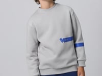 Stone Cotton Thick Fleece-Lined Soft Textured Standard Fit Printed Boys' Sweatshirt - 11238
