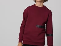 Purple Cotton Thick Fleece-Lined Soft Textured Standard Fit Printed Boys' Sweatshirt - 11238