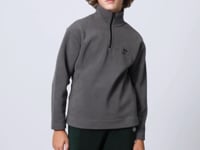 Dark Grey Thick Soft Textured Standard Fit Embroidered Fleece Boys' Sweatshirt - 11221