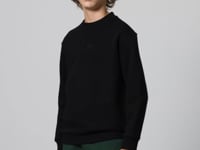 Black Cotton Thick Fleece-Lined Soft Textured Standard Fit Embroidered Boys' Sweatshirt - 11232