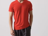 Fiesta Basic Short Sleeve Standard Fit V Neck Men's T-Shirt - 87912