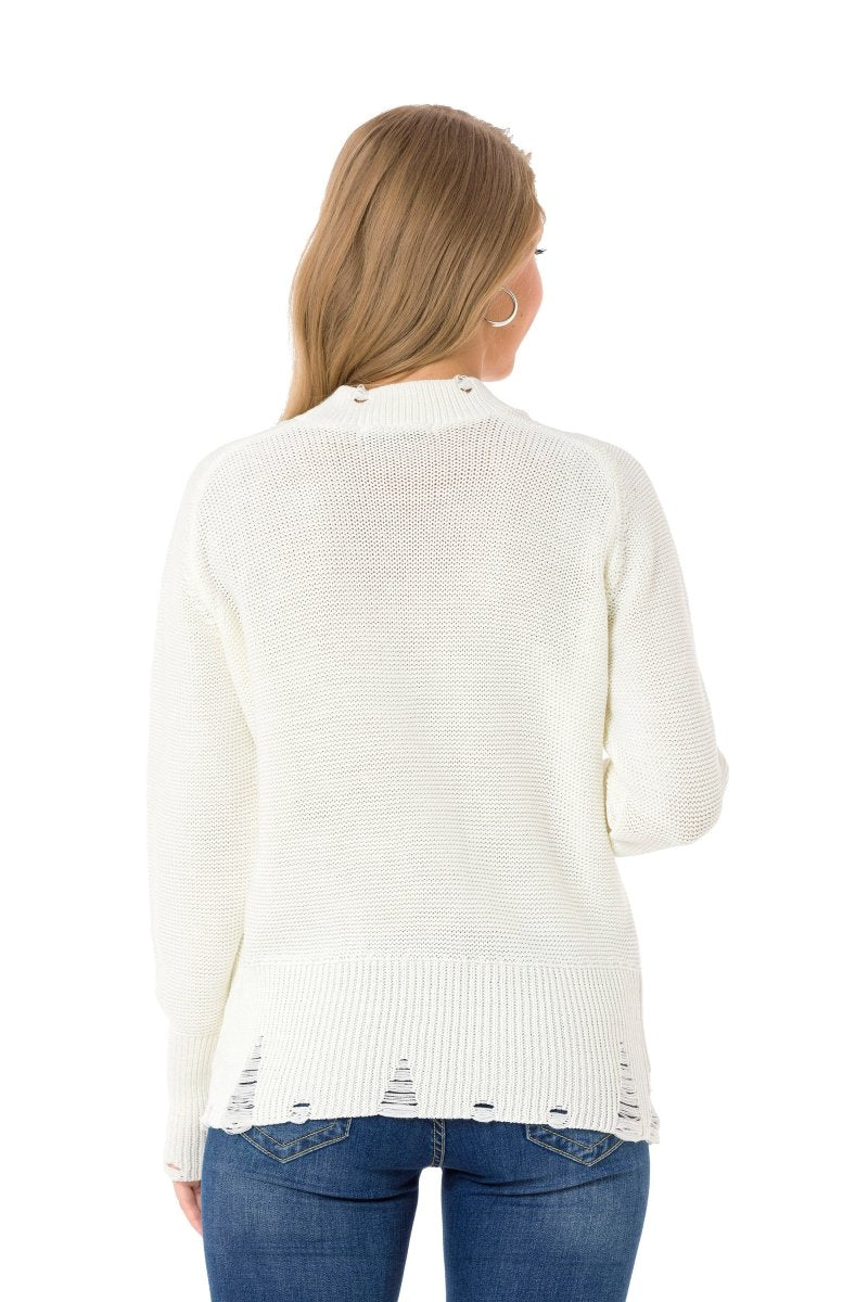 WP255 Ladies Hoodies