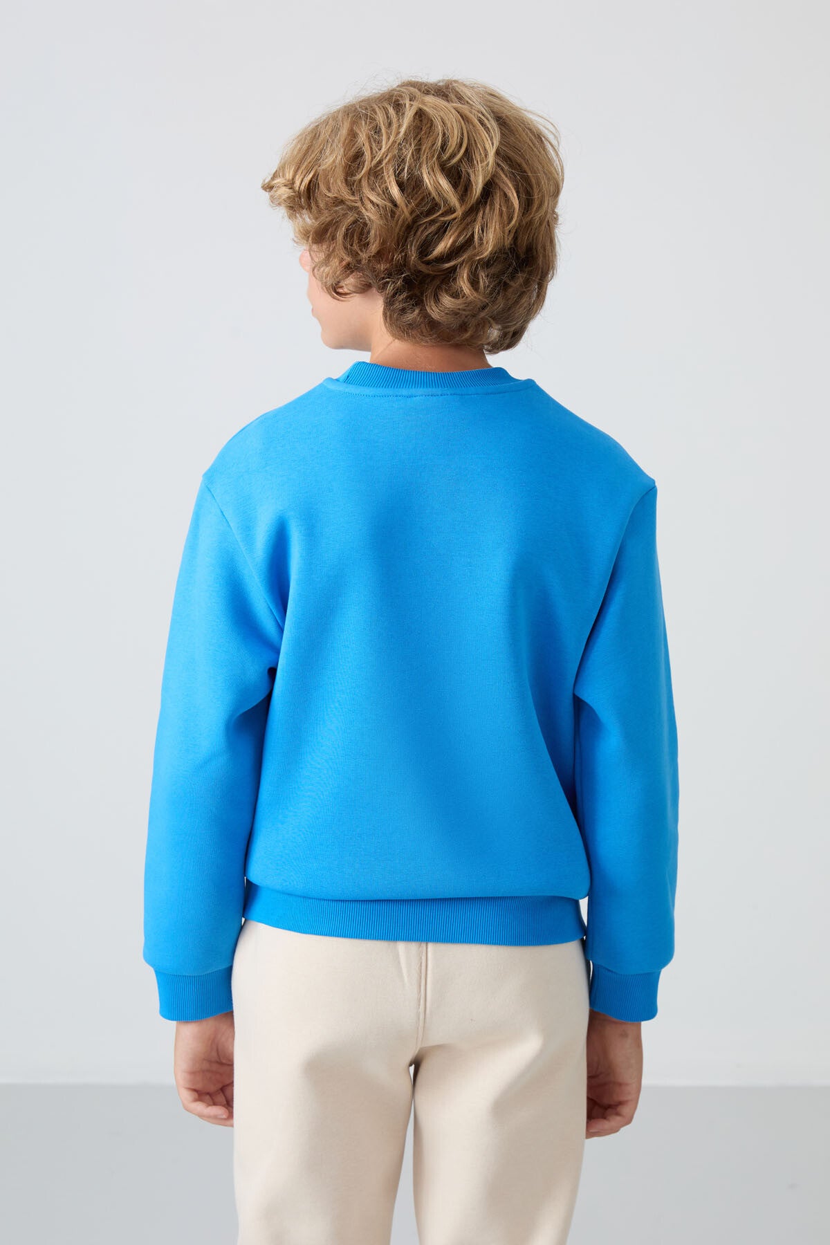 Cotton Thick Fleece-Lined Soft Textured Standard Fit Embroidered Boys' Sweatshirt - 11232
